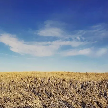 Tatil Evi Family-friendly Retreat Near - By Traum *