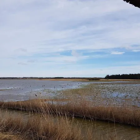 Family-friendly Retreat Near - By Traum *